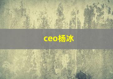 ceo杨冰