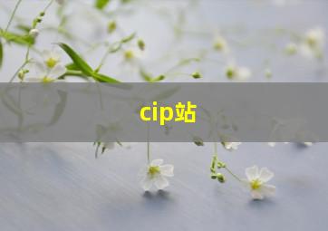 cip站