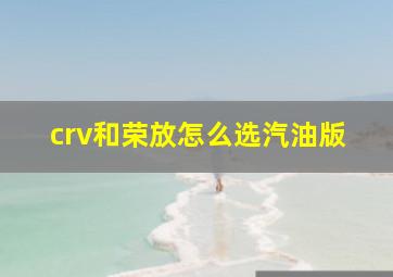 crv和荣放怎么选汽油版