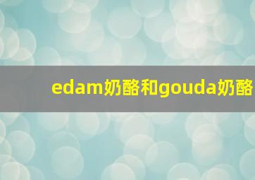 edam奶酪和gouda奶酪