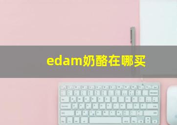 edam奶酪在哪买