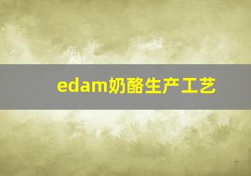 edam奶酪生产工艺