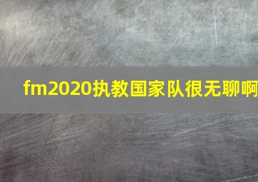 fm2020执教国家队很无聊啊