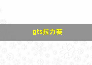 gts拉力赛