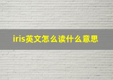 iris英文怎么读什么意思