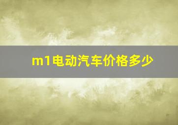 m1电动汽车价格多少