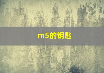 m5的钥匙