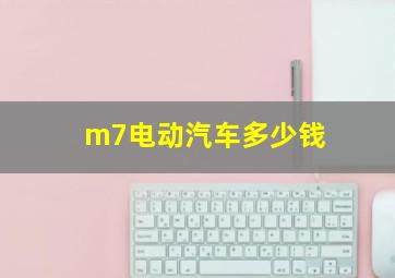 m7电动汽车多少钱