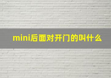 mini后面对开门的叫什么