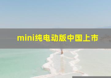 mini纯电动版中国上市