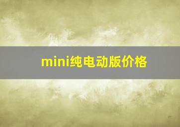 mini纯电动版价格