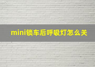 mini锁车后呼吸灯怎么关