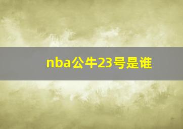 nba公牛23号是谁