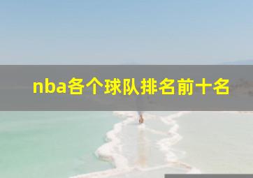 nba各个球队排名前十名