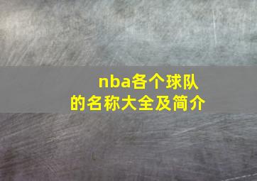 nba各个球队的名称大全及简介