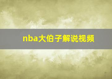 nba大伯子解说视频