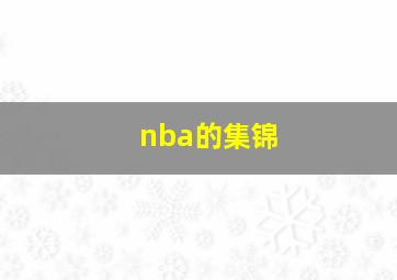 nba的集锦