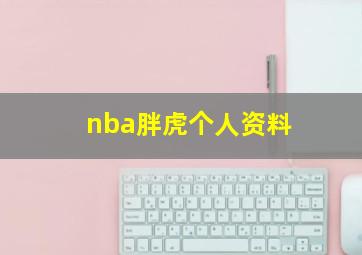 nba胖虎个人资料