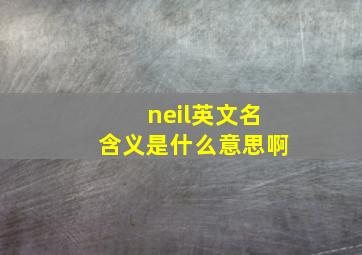 neil英文名含义是什么意思啊