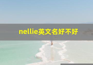 nellie英文名好不好