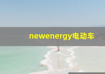 newenergy电动车