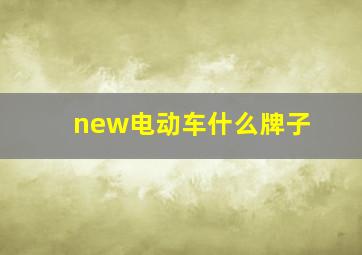 new电动车什么牌子