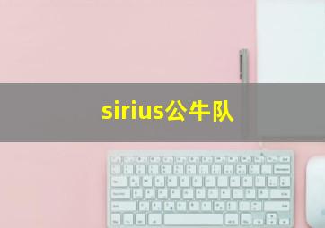 sirius公牛队