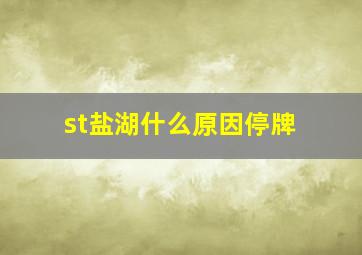 st盐湖什么原因停牌