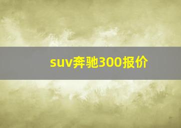 suv奔驰300报价