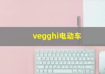 vegghi电动车