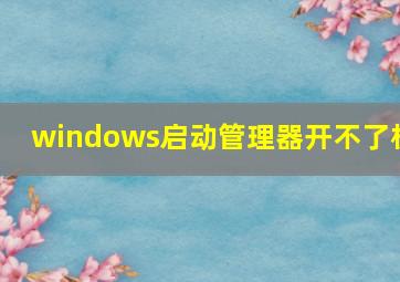 windows启动管理器开不了机