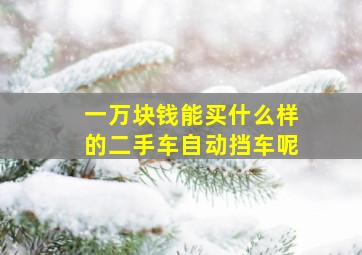 一万块钱能买什么样的二手车自动挡车呢