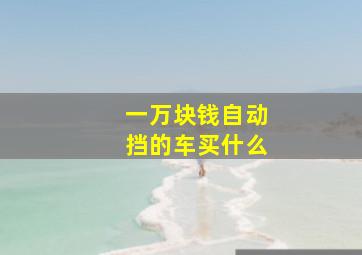 一万块钱自动挡的车买什么