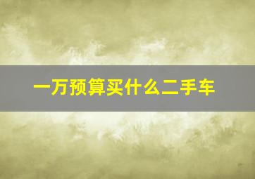 一万预算买什么二手车