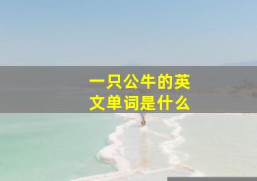 一只公牛的英文单词是什么