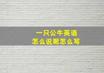 一只公牛英语怎么说呢怎么写