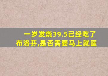 一岁发烧39.5已经吃了布洛芬,是否需要马上就医