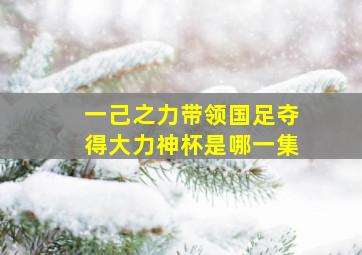 一己之力带领国足夺得大力神杯是哪一集