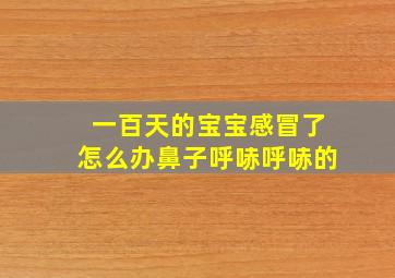 一百天的宝宝感冒了怎么办鼻子呼哧呼哧的