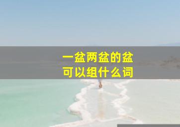 一盆两盆的盆可以组什么词