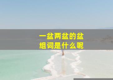 一盆两盆的盆组词是什么呢