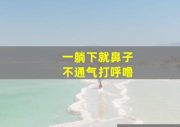 一躺下就鼻子不通气打呼噜