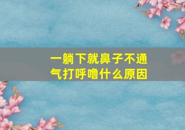 一躺下就鼻子不通气打呼噜什么原因