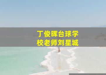 丁俊晖台球学校老师刘星城