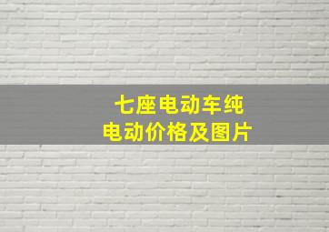 七座电动车纯电动价格及图片