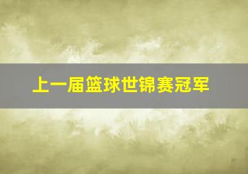 上一届篮球世锦赛冠军