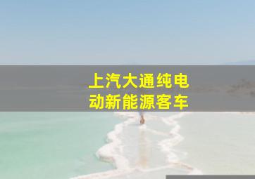 上汽大通纯电动新能源客车