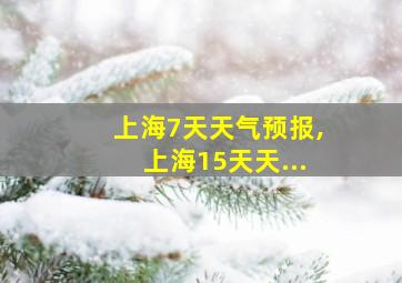 上海7天天气预报,上海15天天...