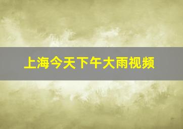 上海今天下午大雨视频