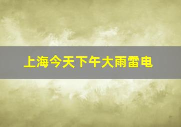 上海今天下午大雨雷电